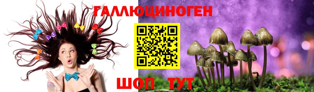 Псилоцибиновые грибы MAGIC MUSHROOMS  купить закладку  Котовск  Вход с VPN 